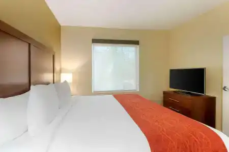 Comfort Inn & Suites Near Airport - 2