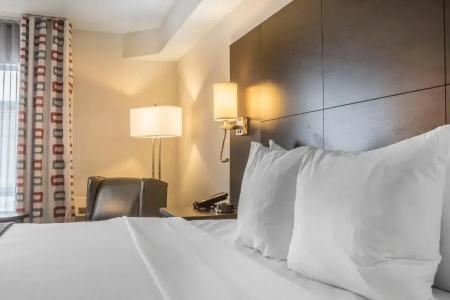 Quality Inn - 48
