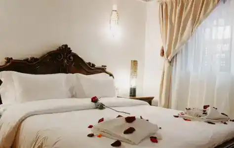 Riad Toyour- Riad of birds - 99
