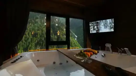 Ayder Villa de Pelit - 100