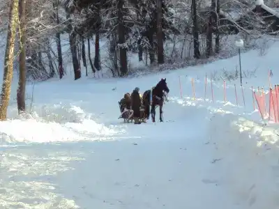 Абрамцево - 19