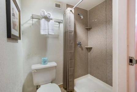 Budgetel Inns & Suites - Atlanta Galleria Stadium - 27