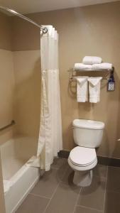 Best Western Airport Inn & Suites - 33