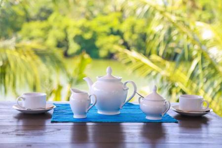 Tinara River Inn, Weligama - 19