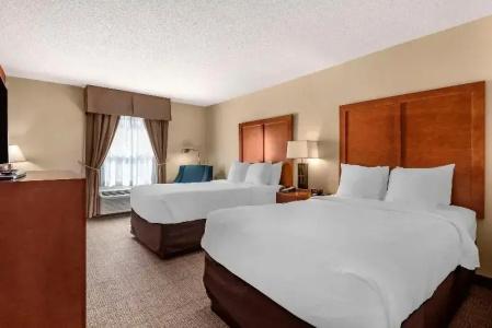Comfort Inn Civic Center - 52