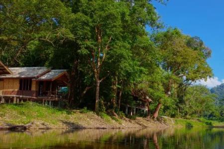 Khaosok Riverside Cottages - 45