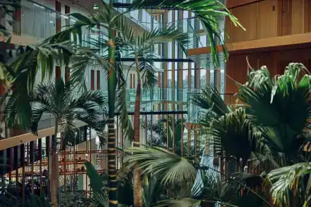 Jakarta Amsterdam - 27