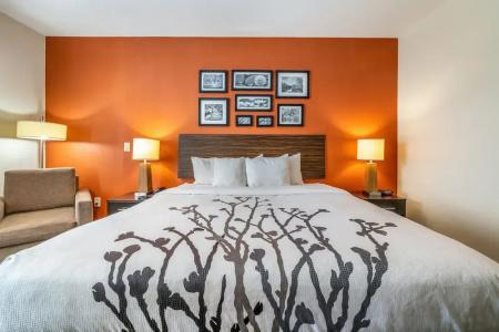 Restwell Inn & Suites I-45 North - 50