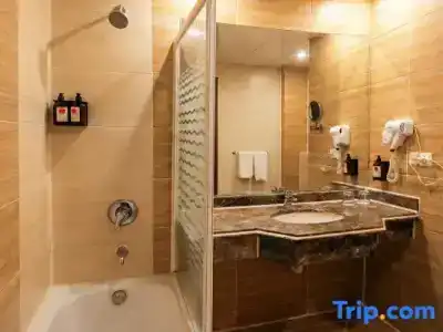 Regency Plaza Aqua Park and Spa Resort - 106