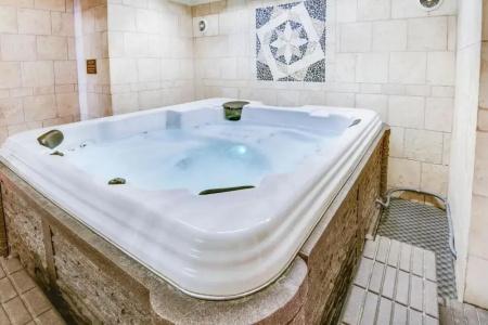 Plaza Suites Downtown New Orleans - 15