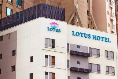Lotus Masjid India - 0