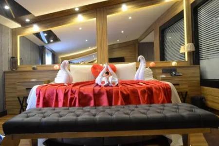 Gumus Palace Suites - 8