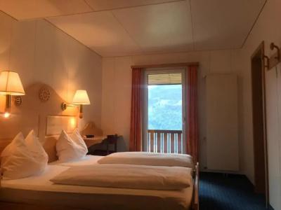 Bellevue-Wengen - Best view in town! - 64
