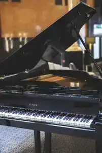 Opus 16 - 22
