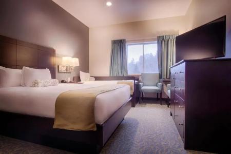 Sun & Ski Inn and Suites - 83