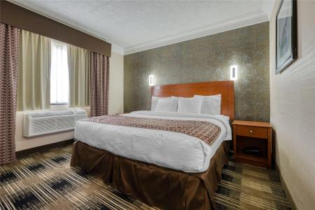 Best Western Inn at the Airport - 25