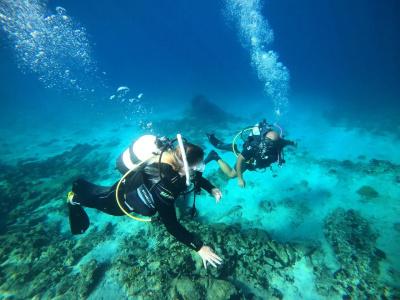 Alexandros Palace - 46