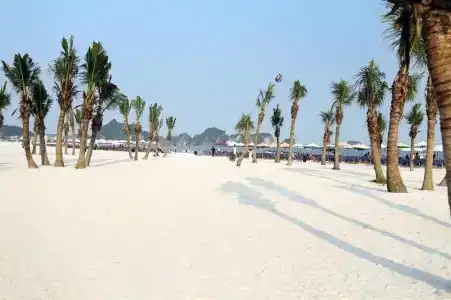 Hai Trang - 13