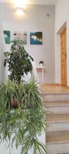 Apulia Bed&Breakfast - 10