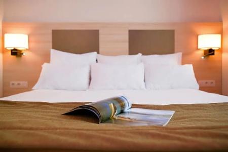 Mercure Lyon Centre Brotteaux - 110