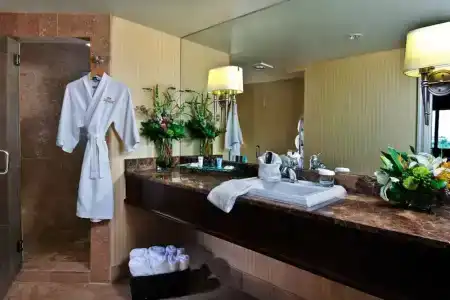 Crowne Plaza Portland-Downtown Convention Center, An Ihg - 78