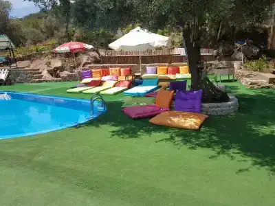 Shiva Camp - 8