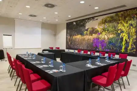 Fira Congress - 18