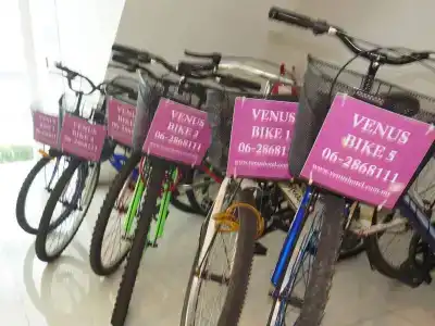 Venus Boutique - 26