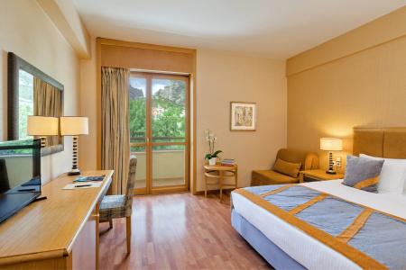 Divani Meteora - 26