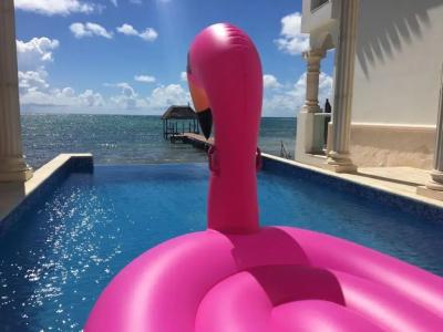 Cielo Maya Beach Tulum - 20