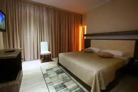 Partner - 33