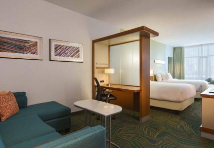 SpringHill Suites by Marriott Nashville Vanderbilt/West End - 22