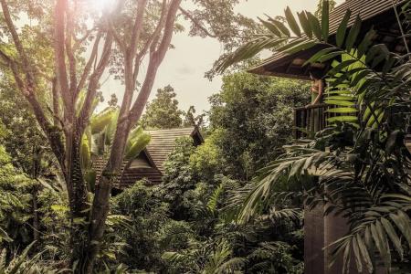 Four Seasons Resort Chiang Mai -Sha Plus - 53