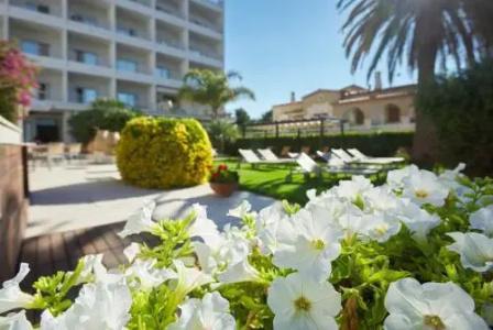 & Spa Terraza - 13