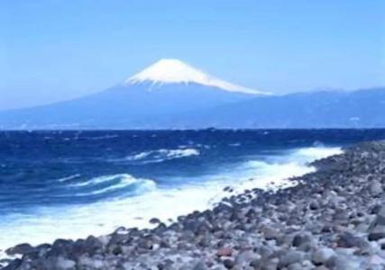 Quest Shimizu - 8