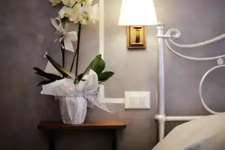 Residenza Cecchi b&b - 21