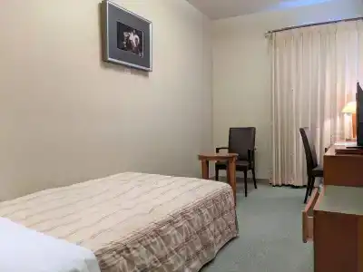 Toyama Jiyukan - 5