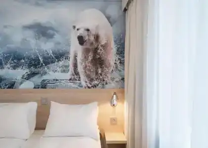 Thon Polar - 27