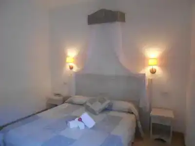 Tabby - 103