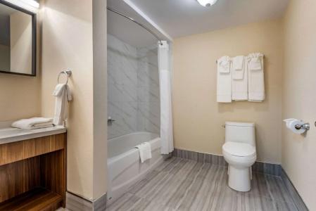 Quality Inn and Suites - 9