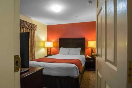 Comfort Inn & Suites Airport South - 32