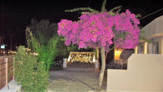 Paradise - 205