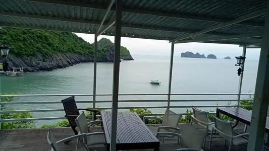 Monkey Island Resort - 51
