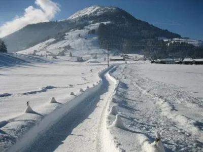 Alpenresidenz Adler - 19