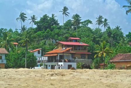 Lion's Rest - 17