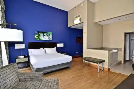 Holiday Inn Express Downtown, An Ihg - 36
