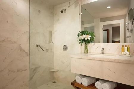 Dreams Dominicus La Romana Resort & Spa - 48