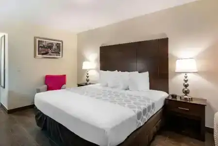 Rodeway Inn Hollywood - 43
