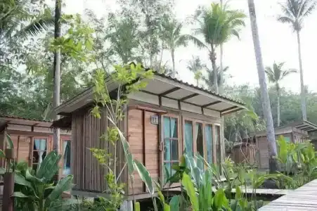 Jungle Koh - 59