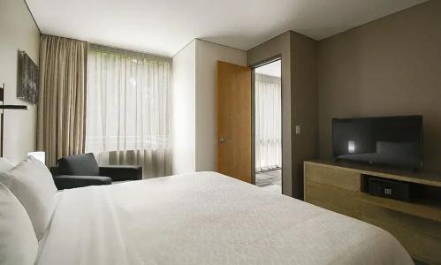 Holiday Inn Express Mexico Reforma - 107